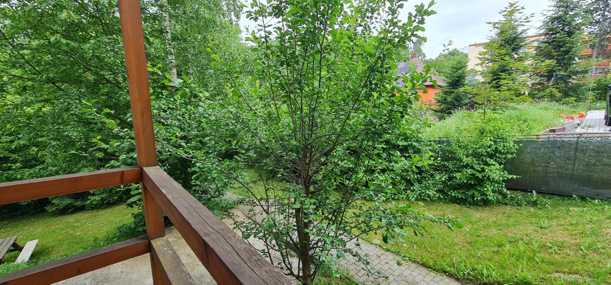 Apartmany Orlova Ngoại thất bức ảnh